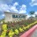 Balcara Luxury Rental Home