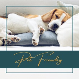 🐾 Exciting news! Balcara at Meridiana is proud to be a pet-friendly community, where your furry friends are welcomed with open arms 🏡 #BalcaraLiving #PetFriendlyCommunity #MeridianaLiving 🐾 Exciting news! Balcara at Meridiana is proud to be a pet-friendly community, where your furry friends are welcomed with open arms 🏡 #BalcaraLiving #PetFriendlyCommunity #MeridianaLiving