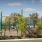 a playground with jungle gym